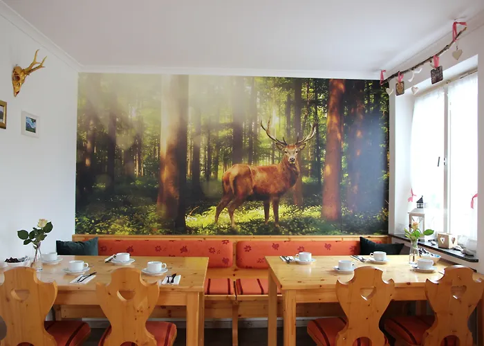 Hotell Wellnesshotel Waldruh